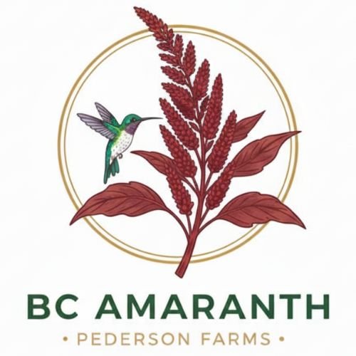 The Logo for BC Amaranth. A hummingbird is beside a red amaranth. Text says: BC Amaranth, Pederson Farms. Canada